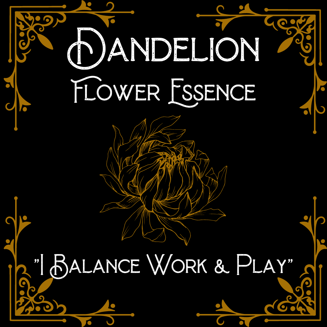 Dandelion Flower Essence || Inner Child || Oregon Grown