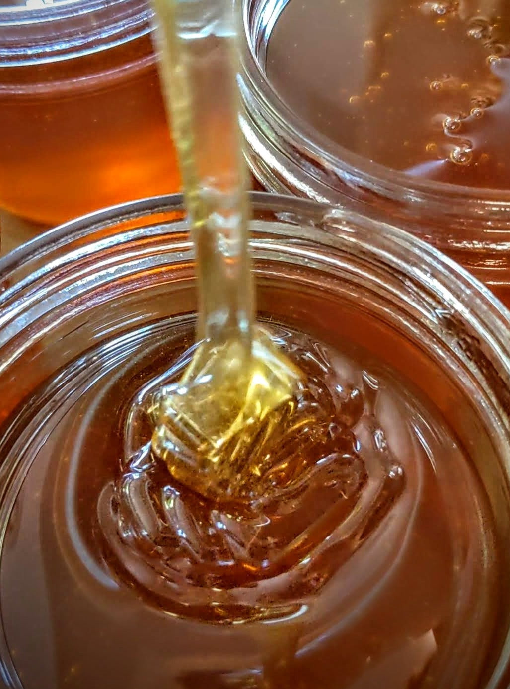 Raw Blackberry Honey | Oregon's Willamette Valley | 9oz