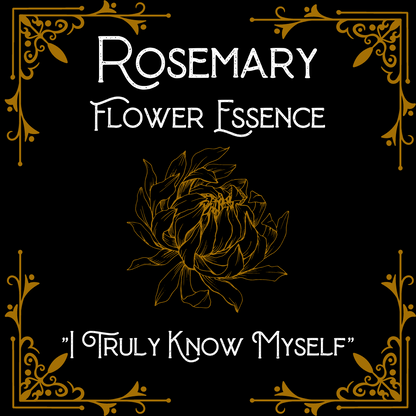 Rosemary Flower Essence || Memory || Oregon Grown